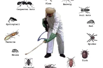 Sydney's Trusted Experts in Commercial Pest Control