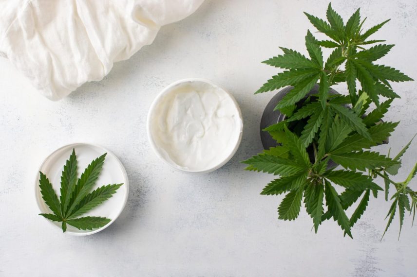 Elevate and Soothe Exploring the Dual Benefits of CBD Cream for Body and Mind