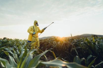 The Hidden Dangers of Ignoring Spider Pest Control in Sydney