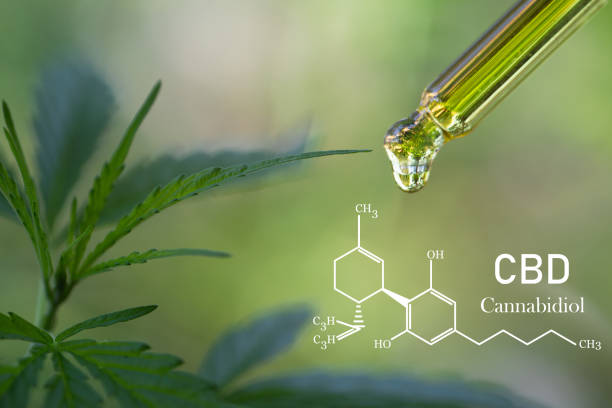 Finding the Best Canadian CBD Oils for Natural Wellness